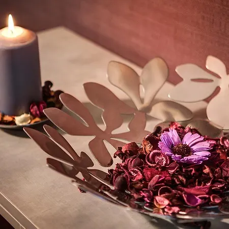 Dharma Style & Hotel 4*